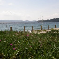 Villa sur la Plage