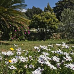  Succombez au Charme d'une Villa avec Plage Prive pour vos Vacances de Rve